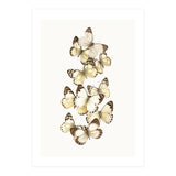 Cc Butterflies 01 (Print Only) thumbnail