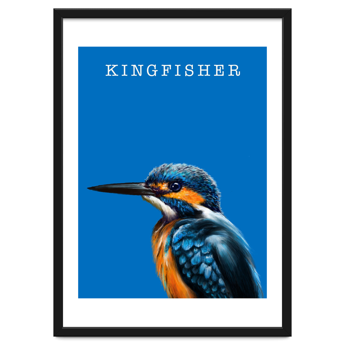 Kingfisher