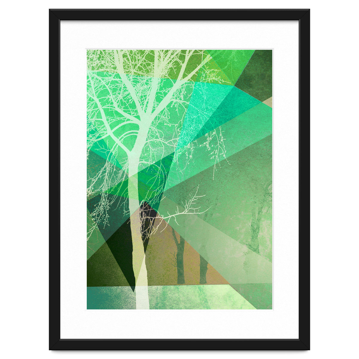 P22 B Trees And Triangles