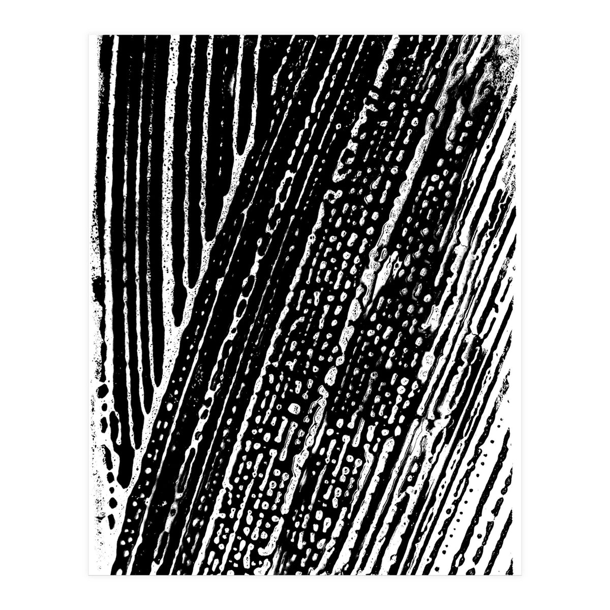 Dizzy 2 (Print Only)