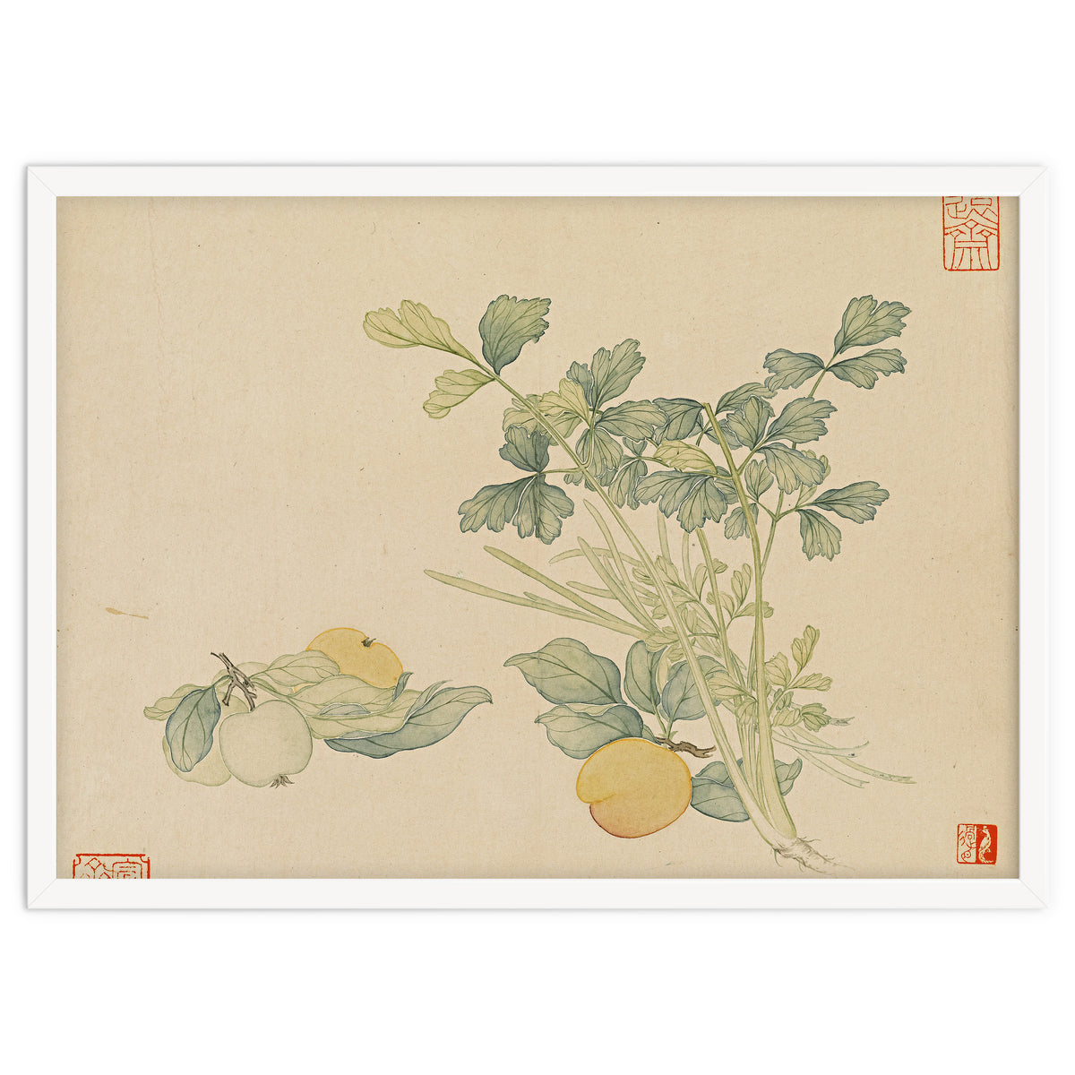 Wang Chengyu~flowers And Vegetables, Vegetables, Fruits, Plums, Apricots, Celery