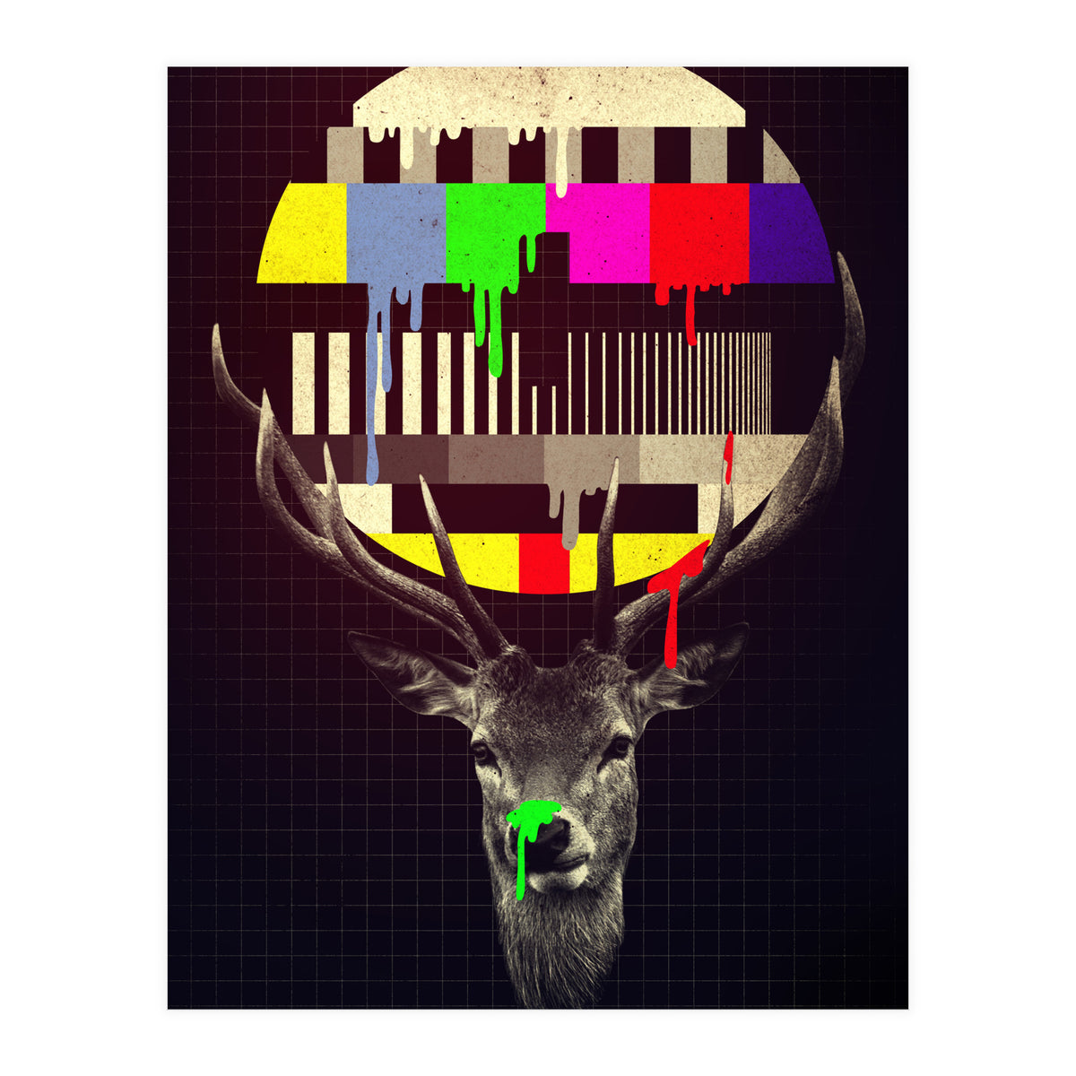 No Signal (Print Only)