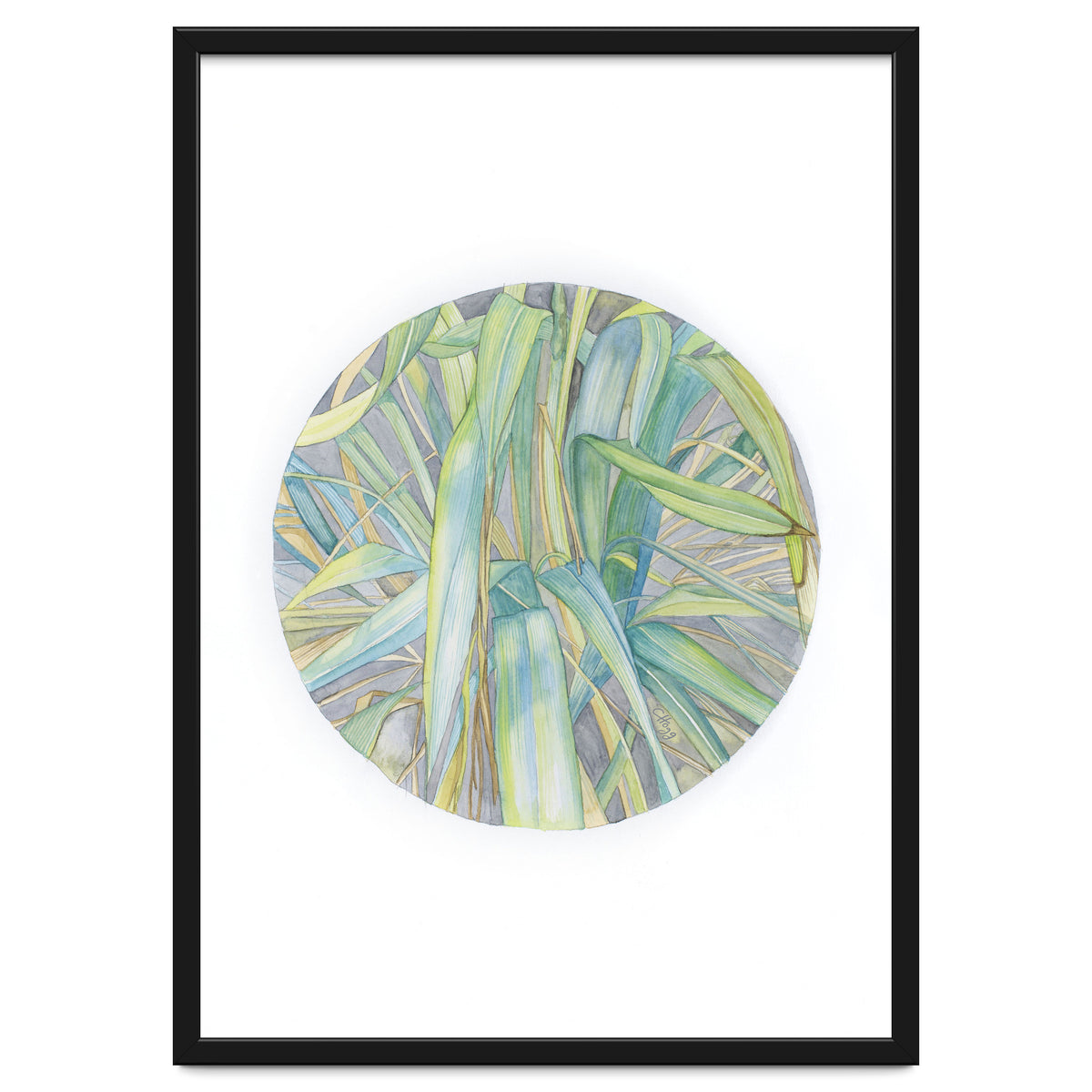 Grasses In The Late Summer Light