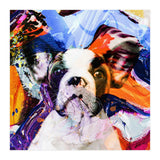 Zycko Color Dog 1 (Print Only) thumbnail