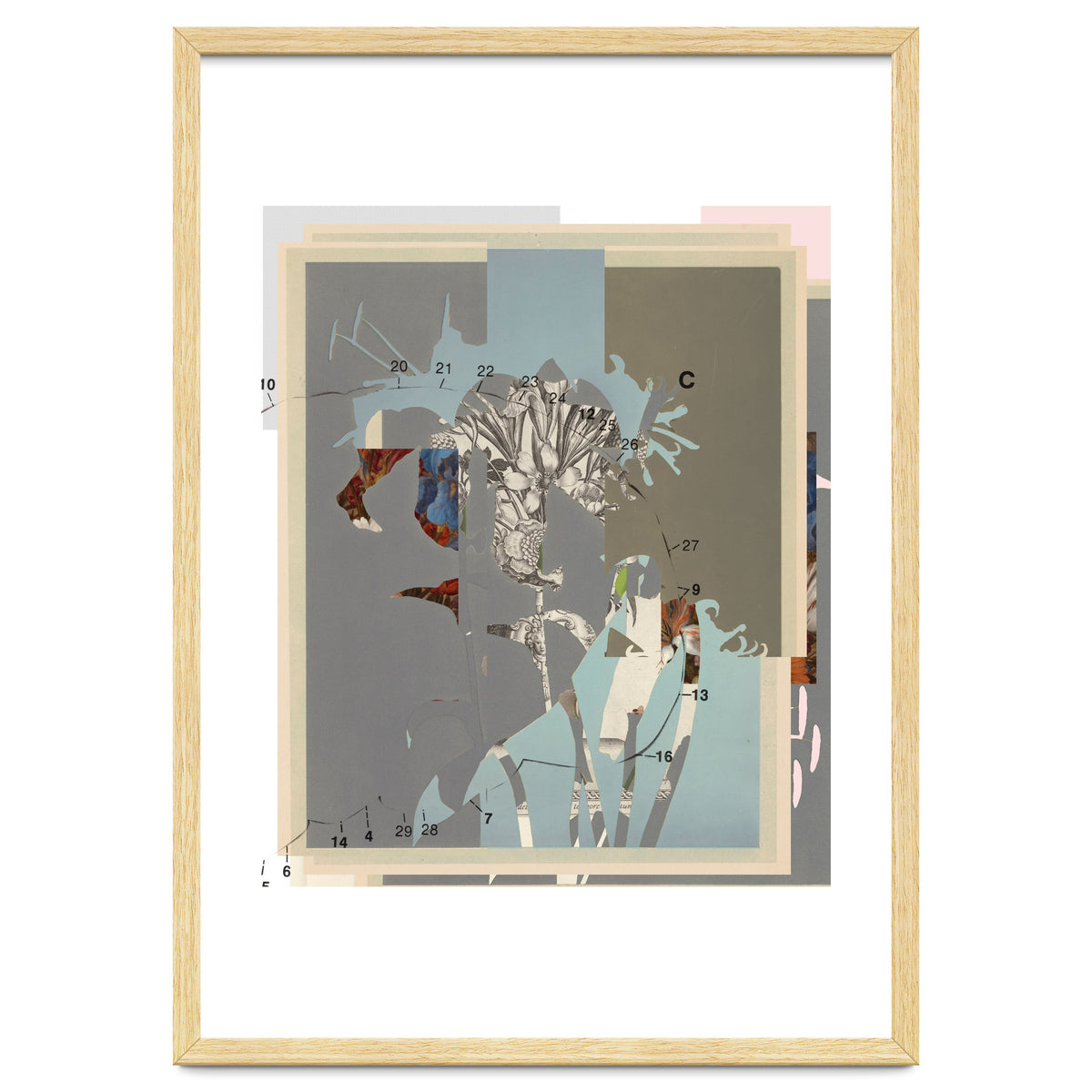 The First Plant · D