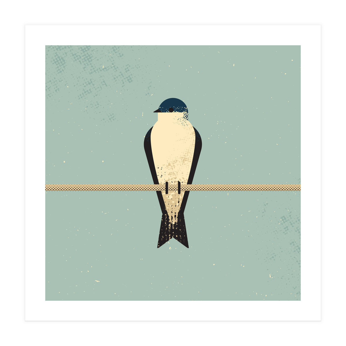 Swallow (Print Only)