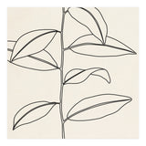 LEAF IN LINE 01 (Print Only) thumbnail