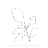 Six Leaf Plant (Print Only) thumbnail
