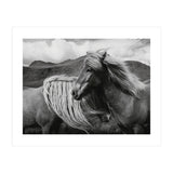Horses In The Sky (Print Only) thumbnail