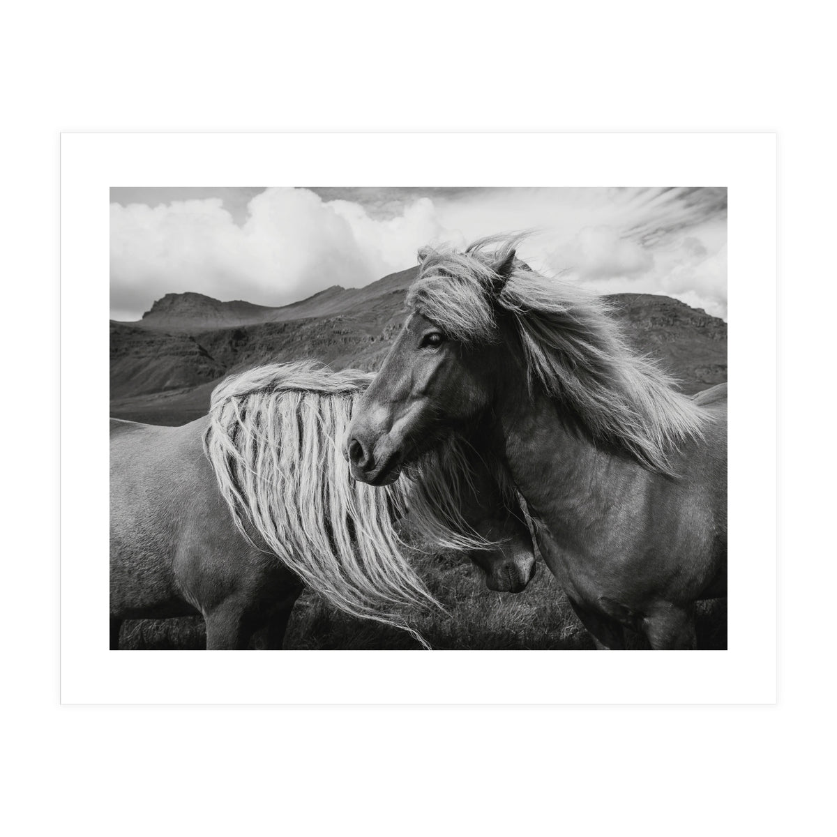 Horses In The Sky (Print Only)