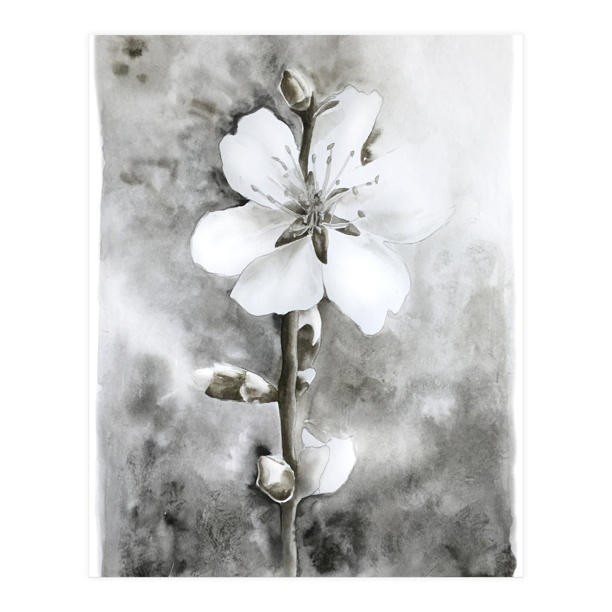 White flower (Print Only)