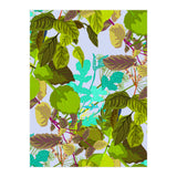 Herbs II (Print Only) thumbnail