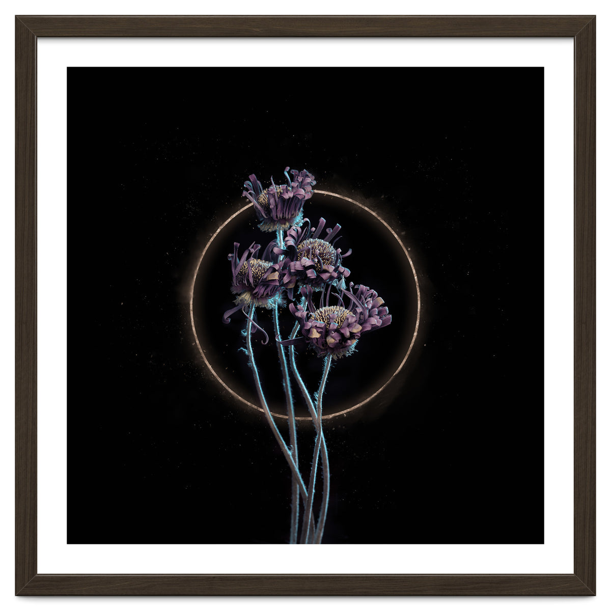 Candy-Coloured Mystery