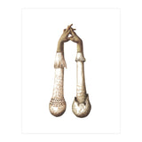 Handshrooms (Print Only) thumbnail