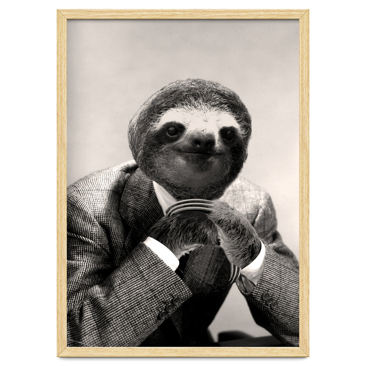 Gentleman Sloth 3