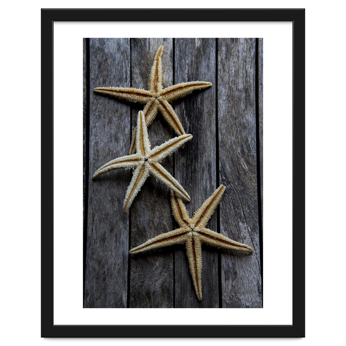 Starfishes in wooden