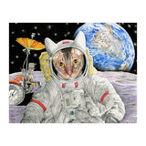 Nasacatadjustcolor (Print Only) thumbnail