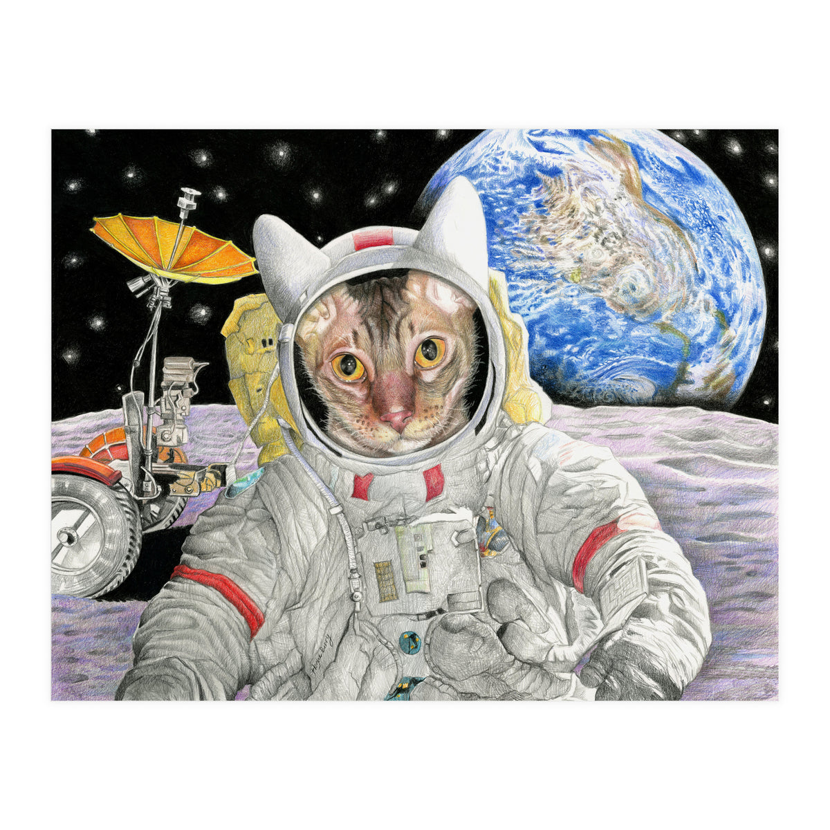 Nasacatadjustcolor (Print Only)