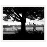 Central Park, New York City thumbnail