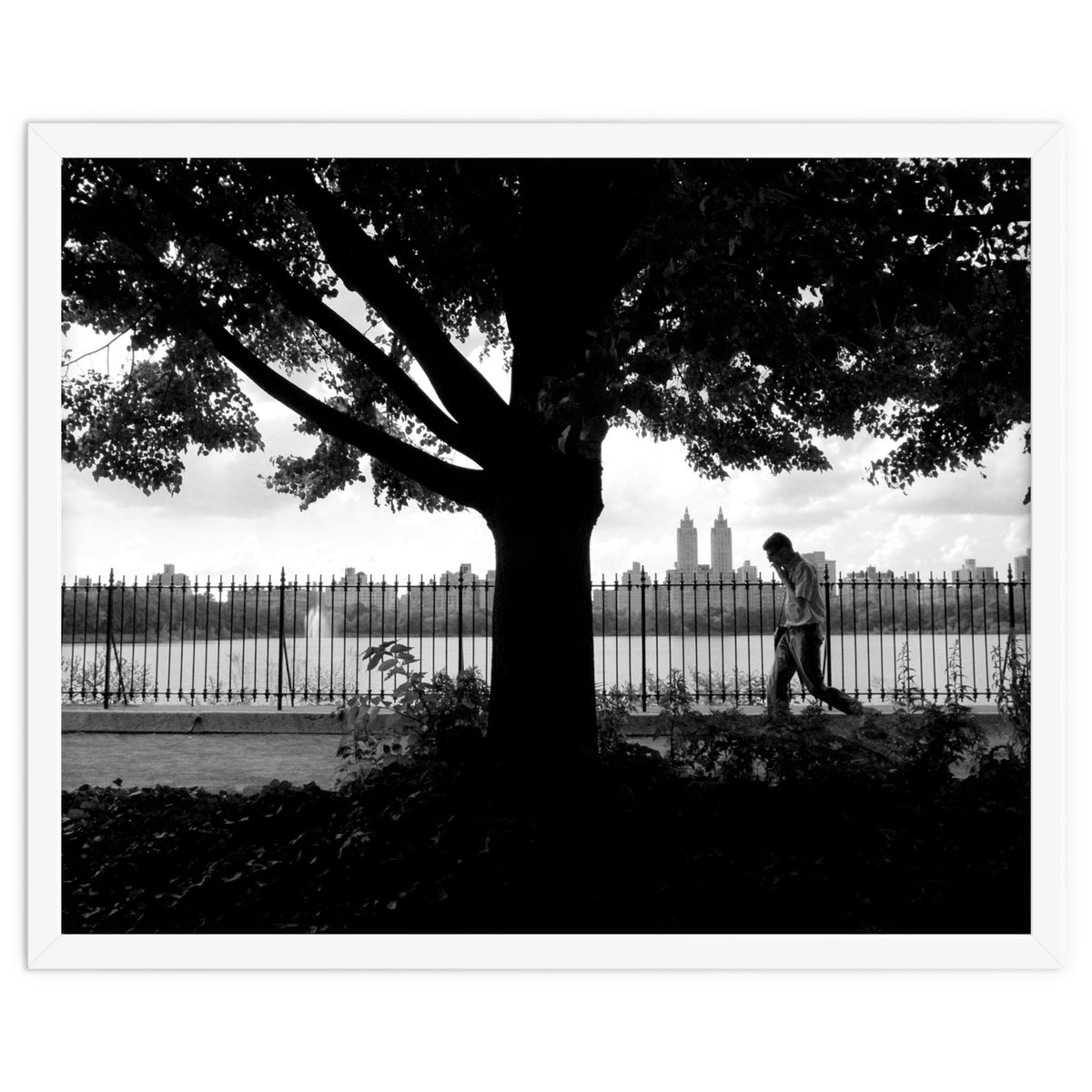 Central Park, New York City