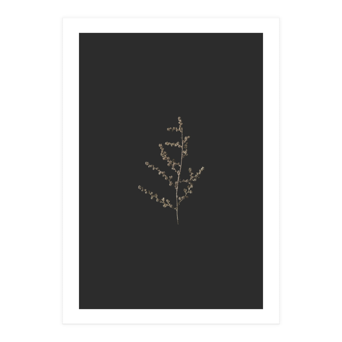 Dainty Botanicals in Gold and Black (Print Only)