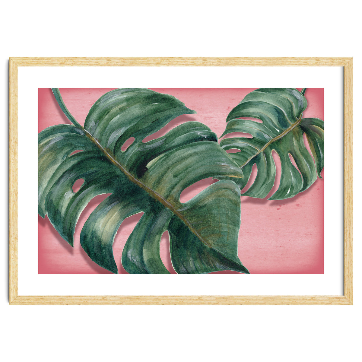 Monstera Leaf