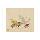 Wang Chengpi~flowers And Vegetables, Vegetables, Fruits, Loquat, White Radish, Carrot, Radish (Print Only) thumbnail