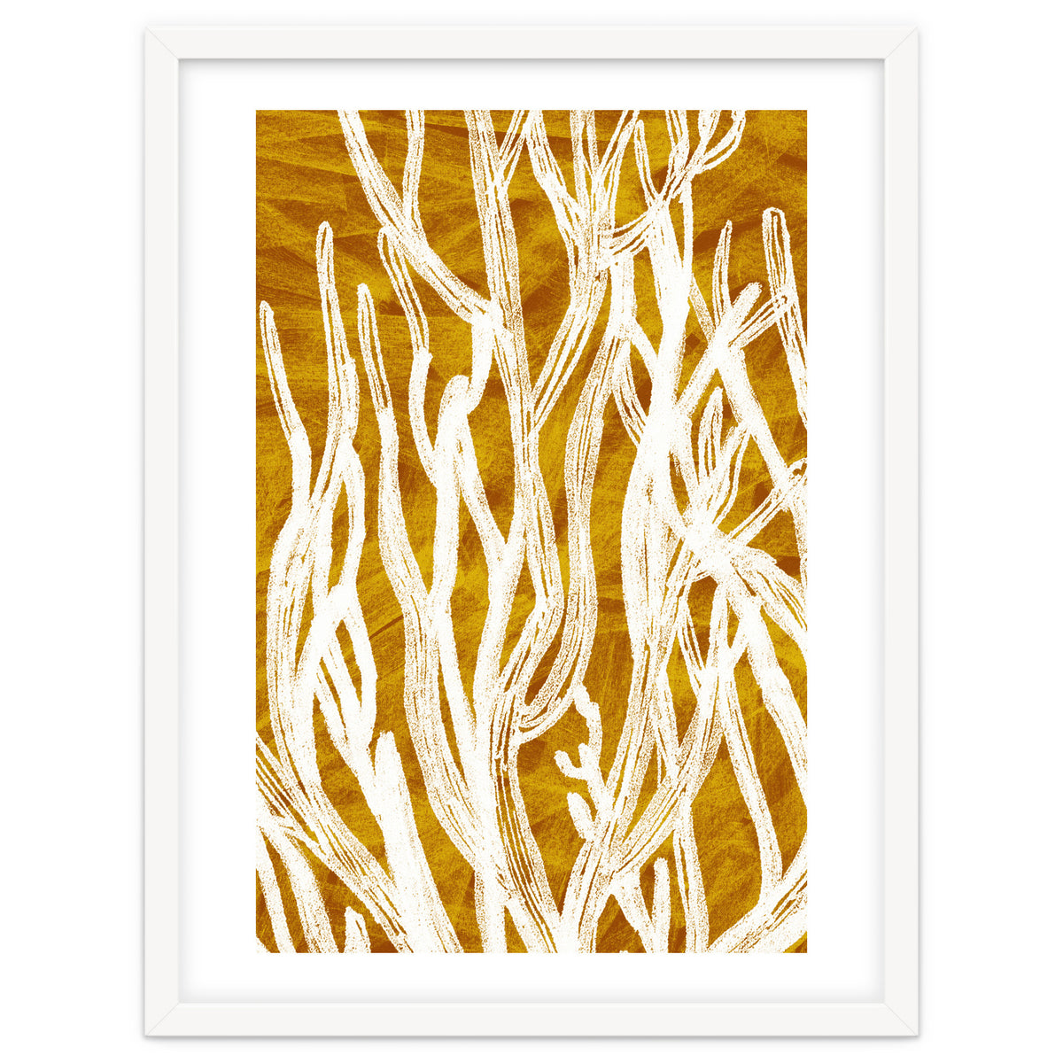 Desert Colours Collection 1