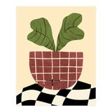 Begonia (Print Only) thumbnail