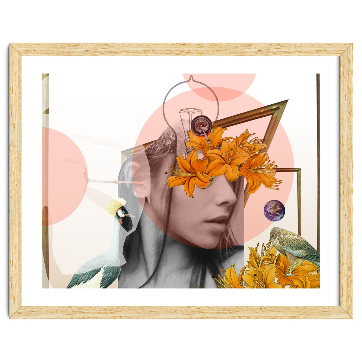 Dreamland Division · D