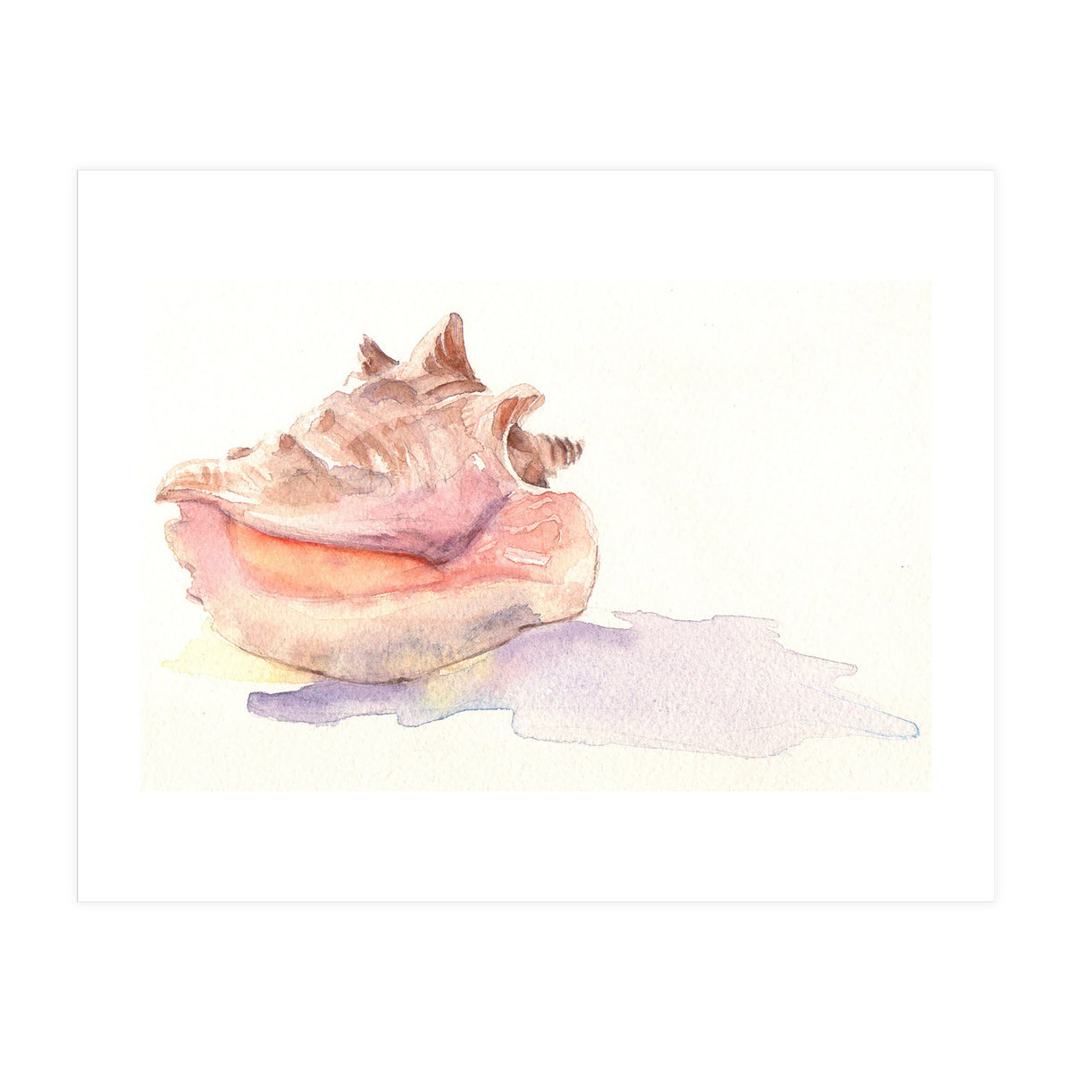 Conch Shell (Print Only)