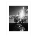 Walking on the shadows (Print Only) thumbnail
