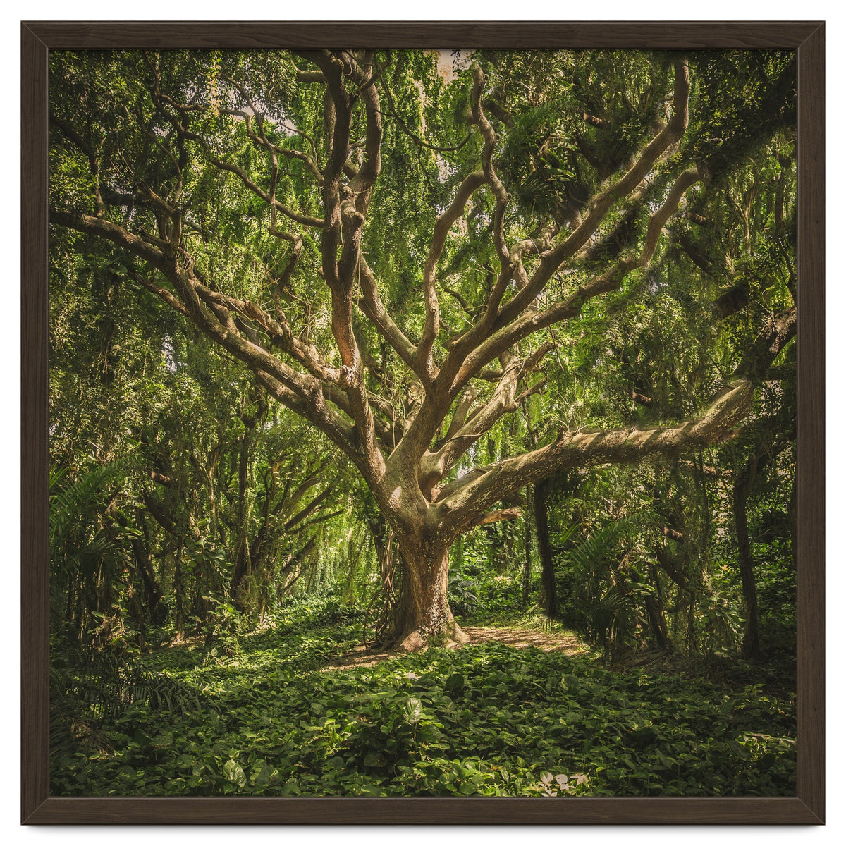 Spirits inside the wood