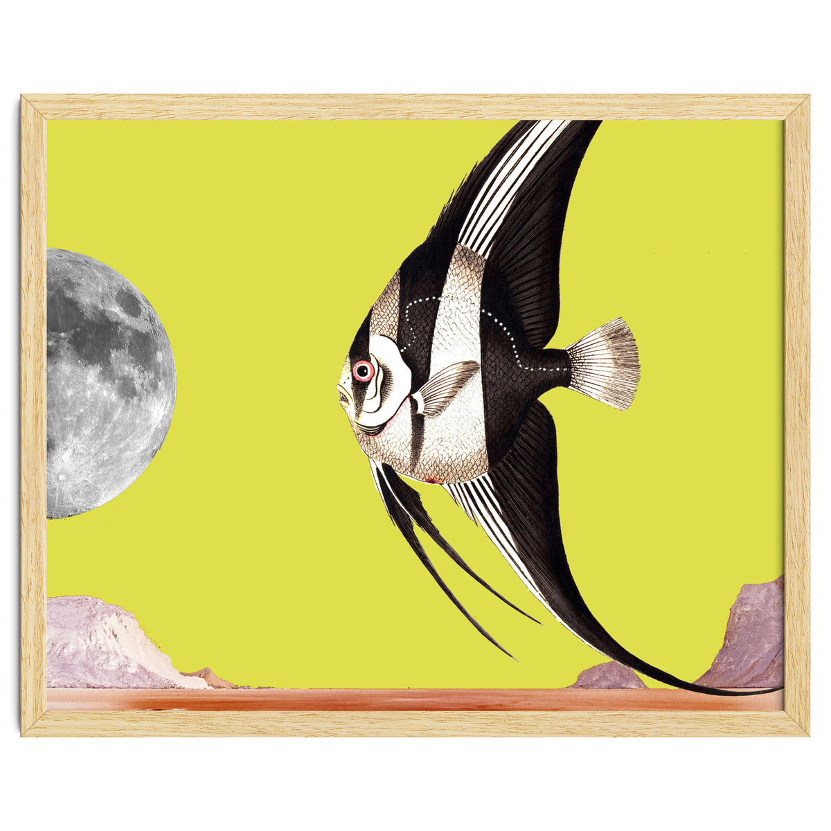 Plenty of fish in the sea yellow