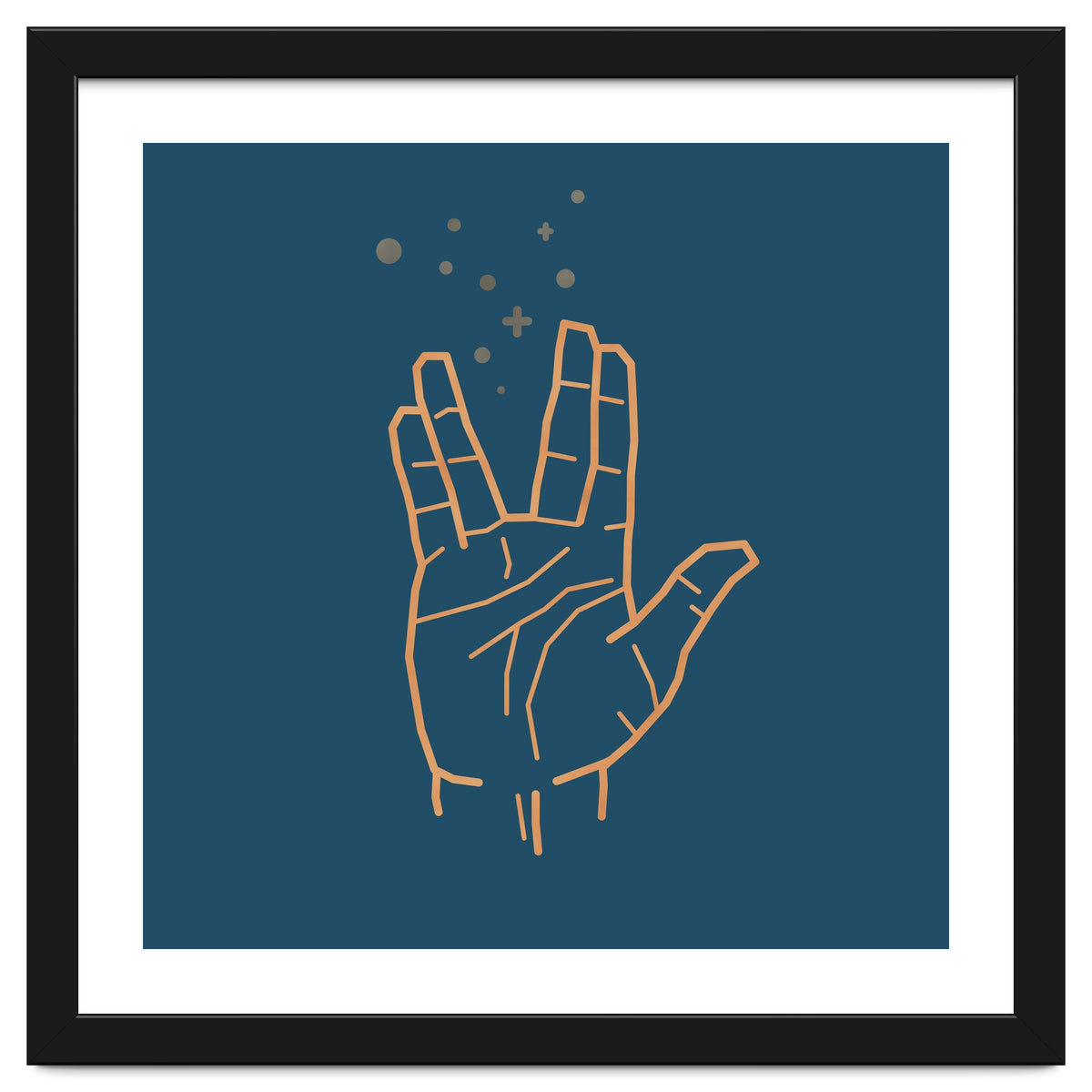 Vulcan Salute