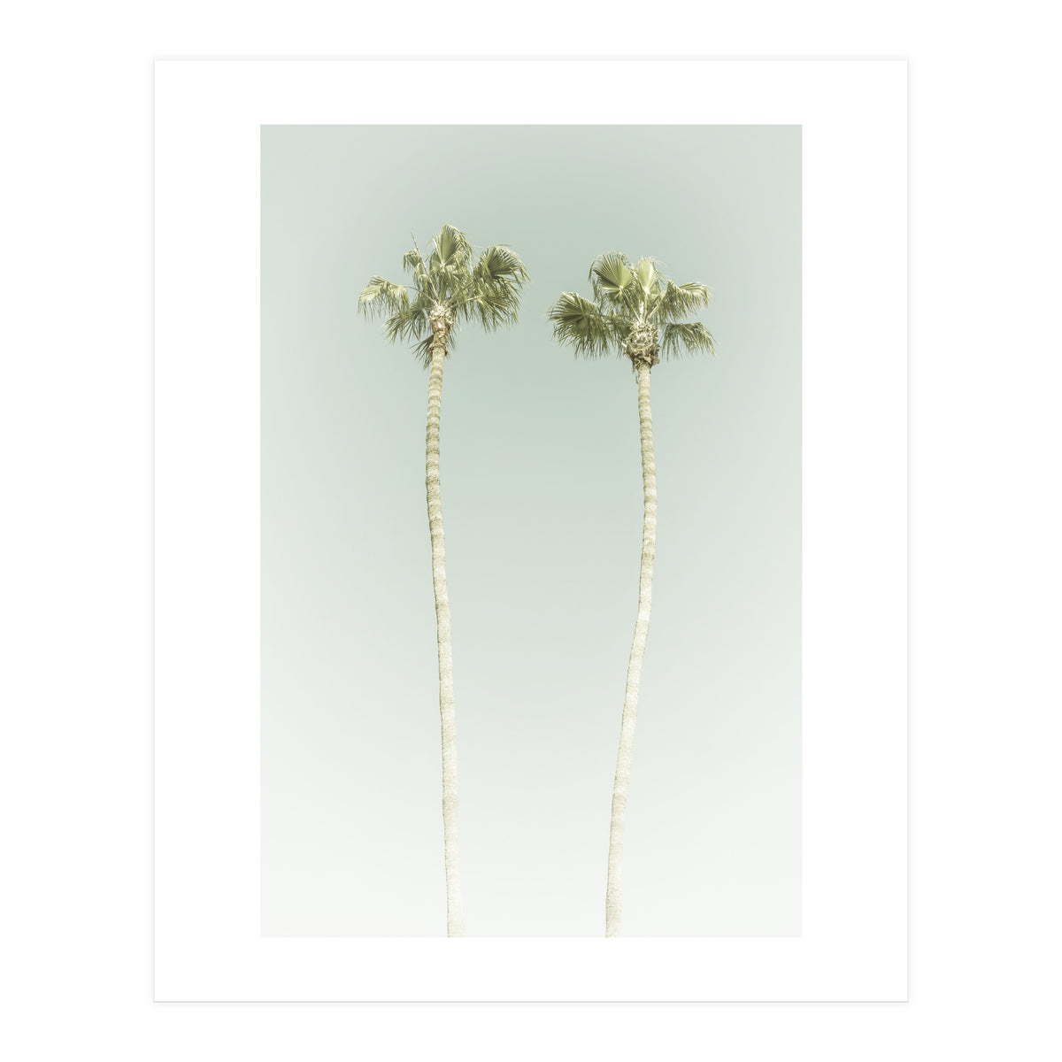 Vintage Palm Trees  (Print Only)