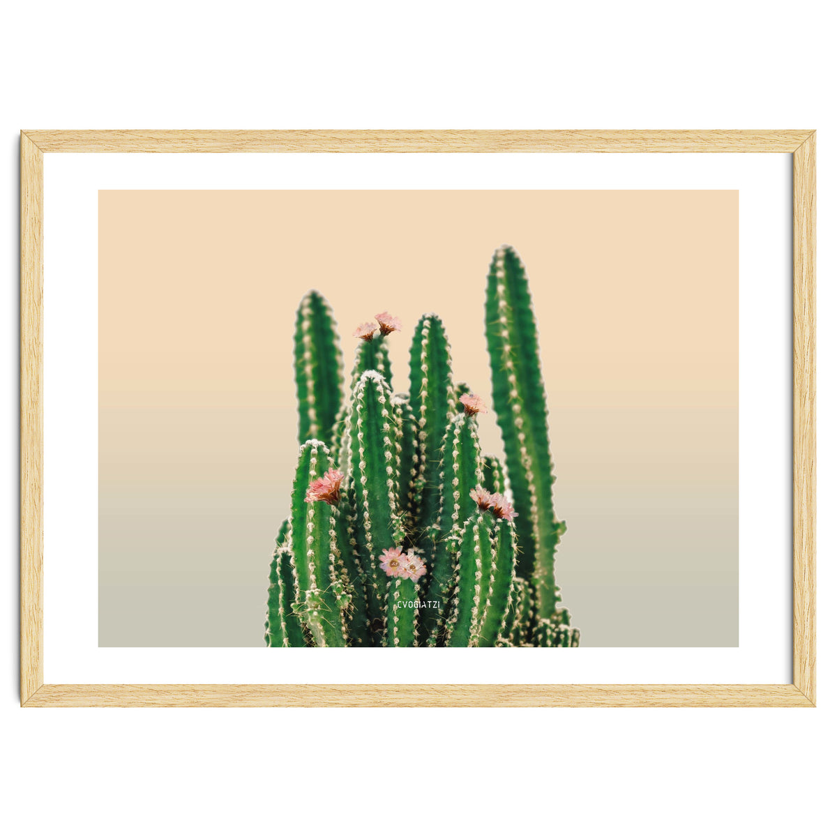 Flowered Cactus