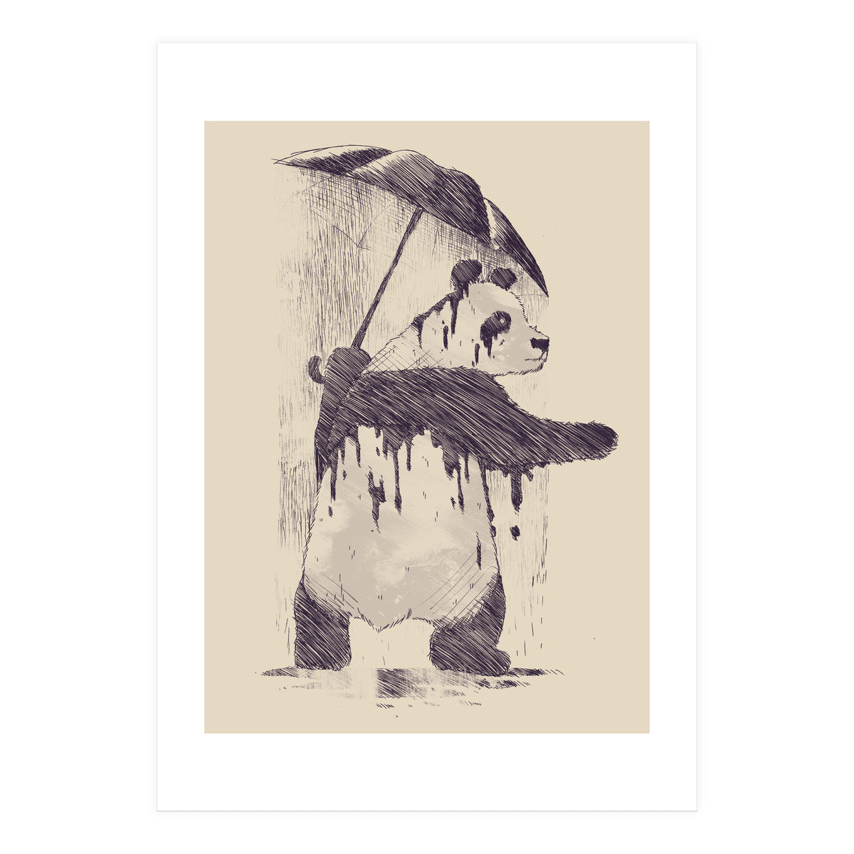 Fading (Print Only)