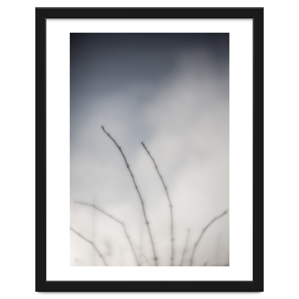 Forgotten Memories of summer #18