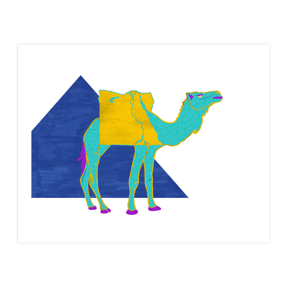 Egyptian Dromedary (Print Only)