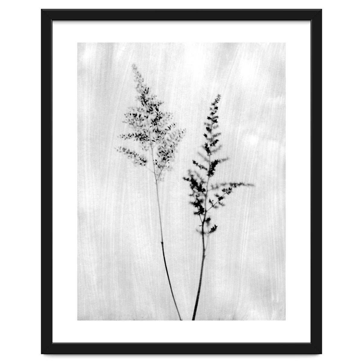 Delicate Wildflowers