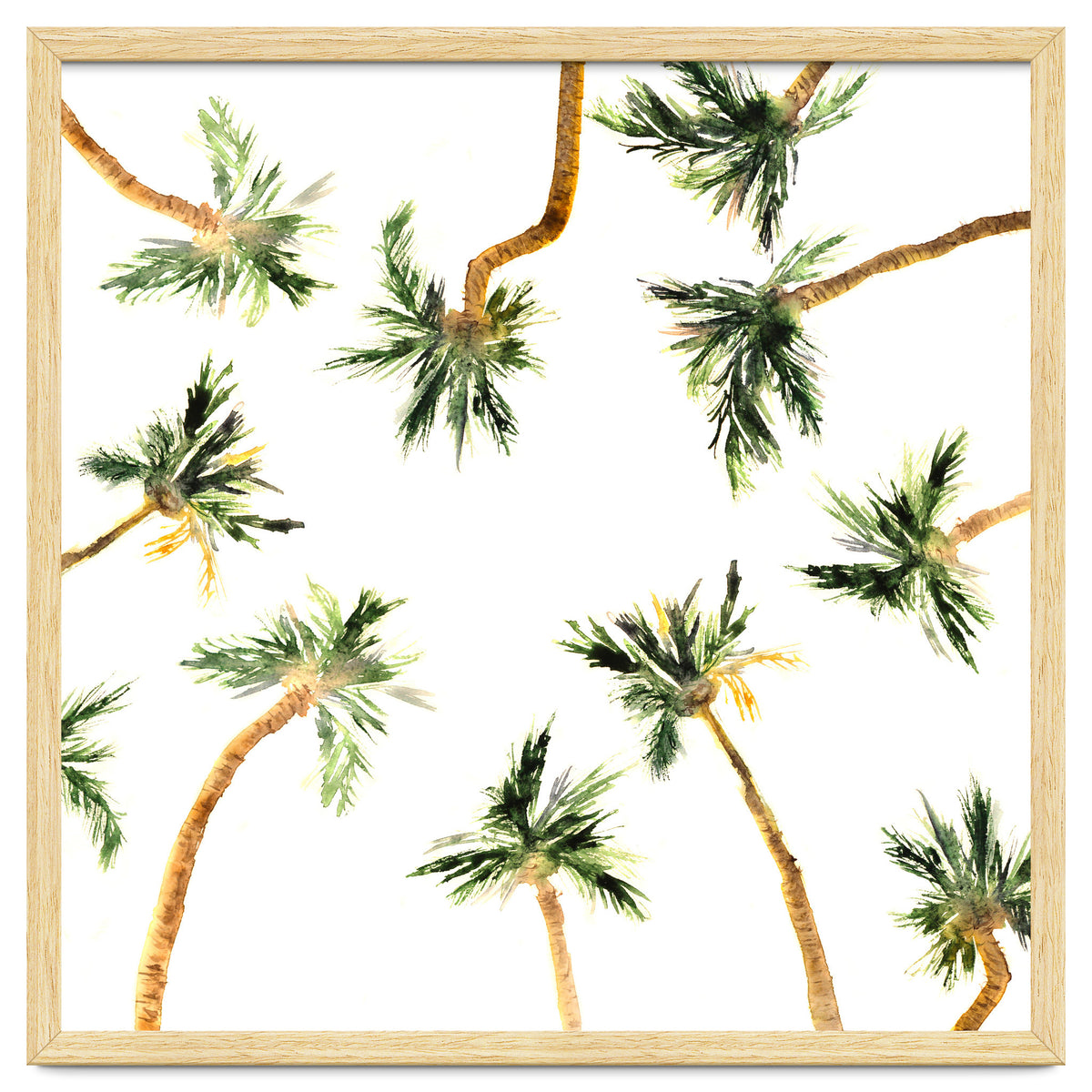 Under the coconut palms || watercolor