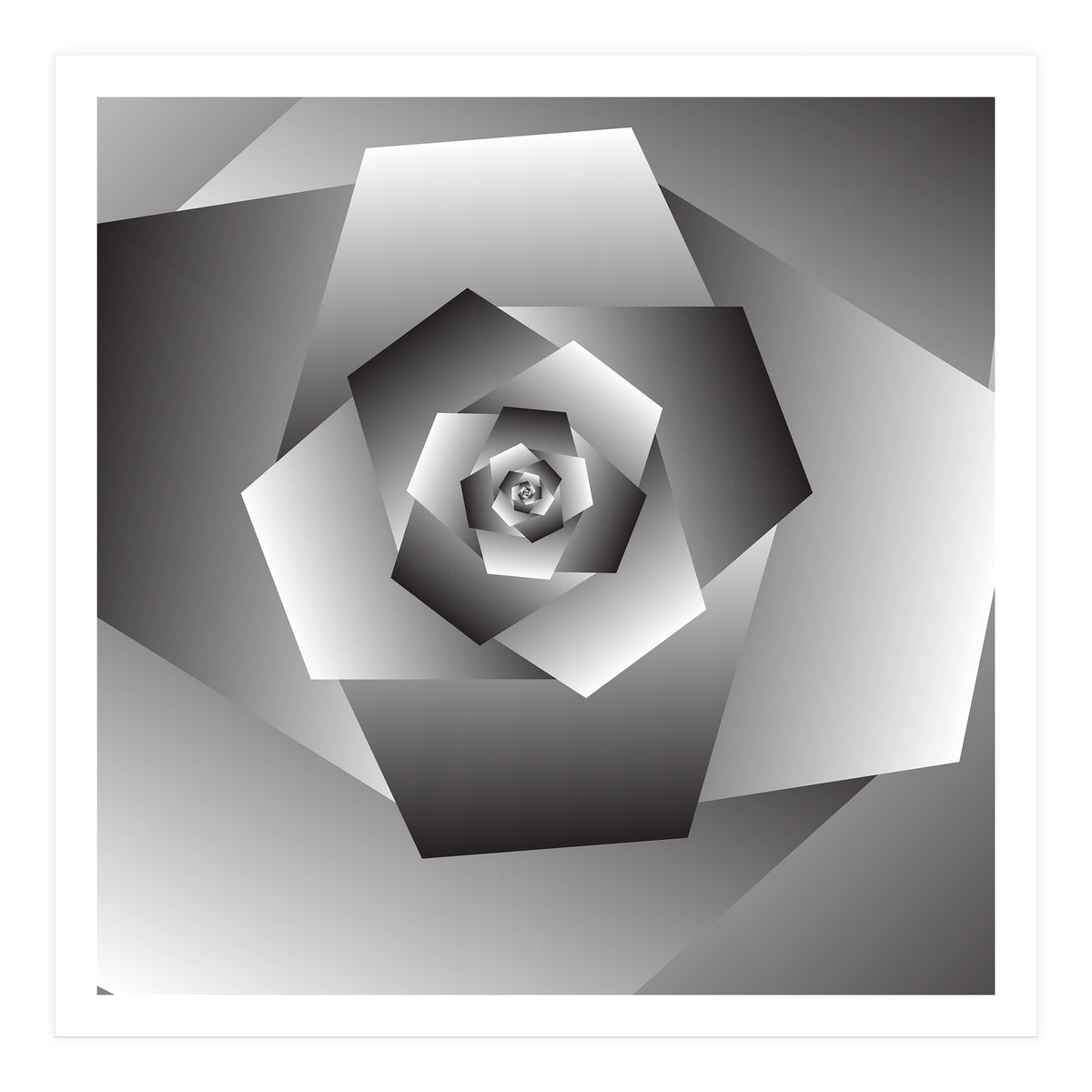 Monochrome Rose Spiral  (Print Only)