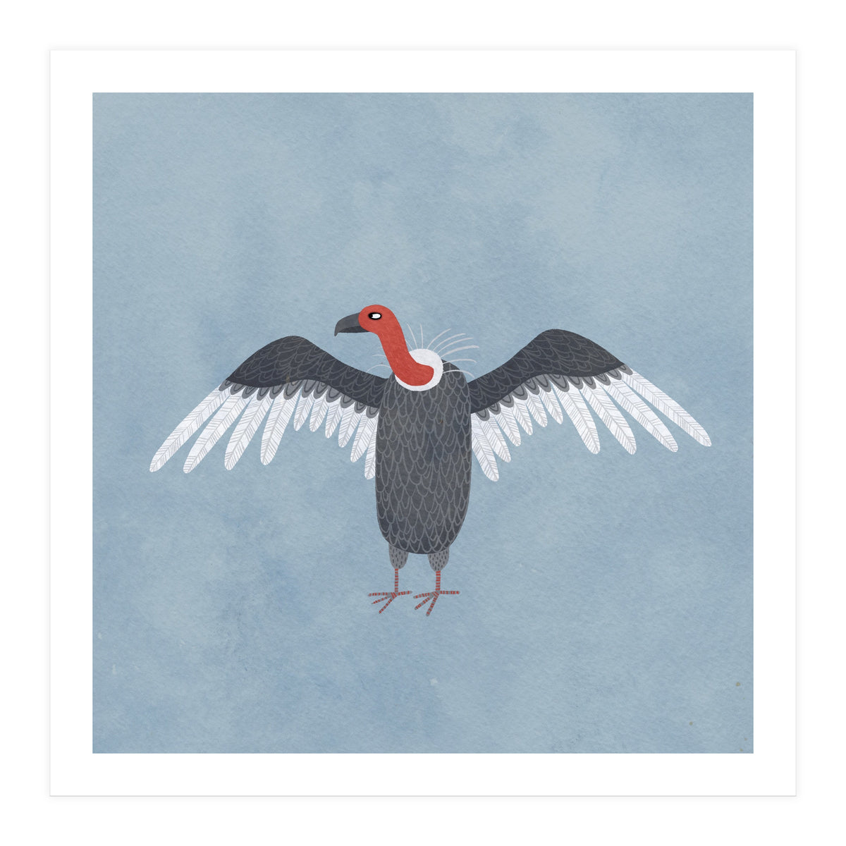 Vulture (Print Only)