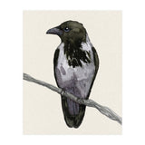 Hooded crow watercolor (Print Only) thumbnail