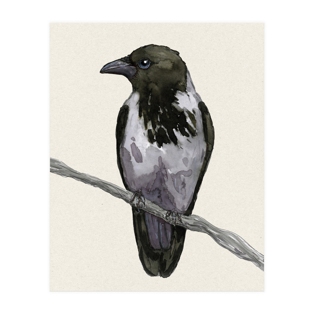 Hooded crow watercolor (Print Only)