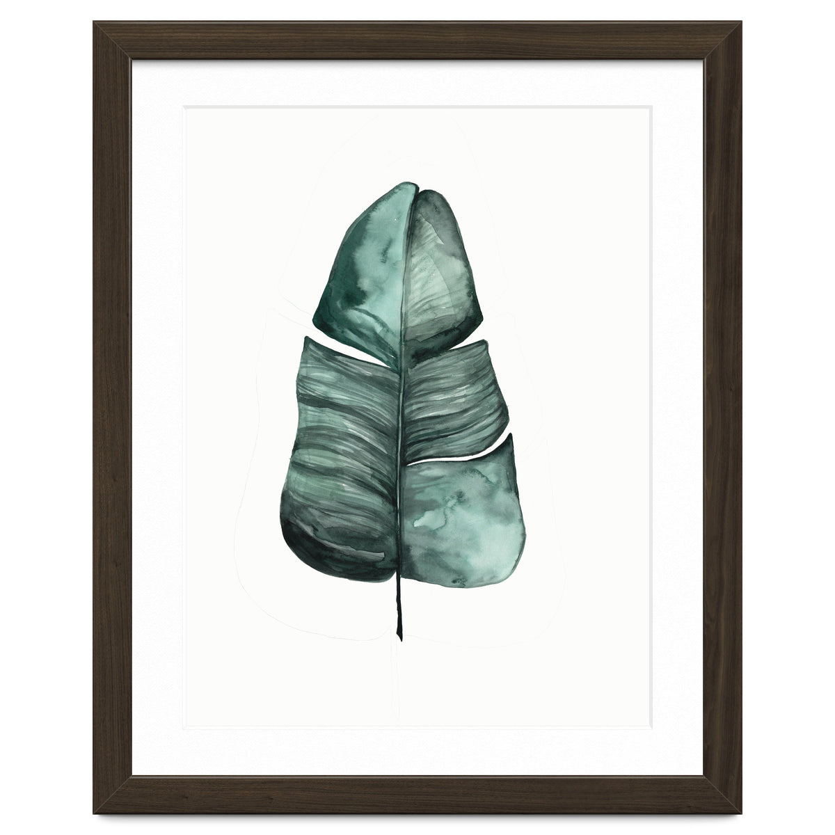 Botanical Illustration Banana Leaf