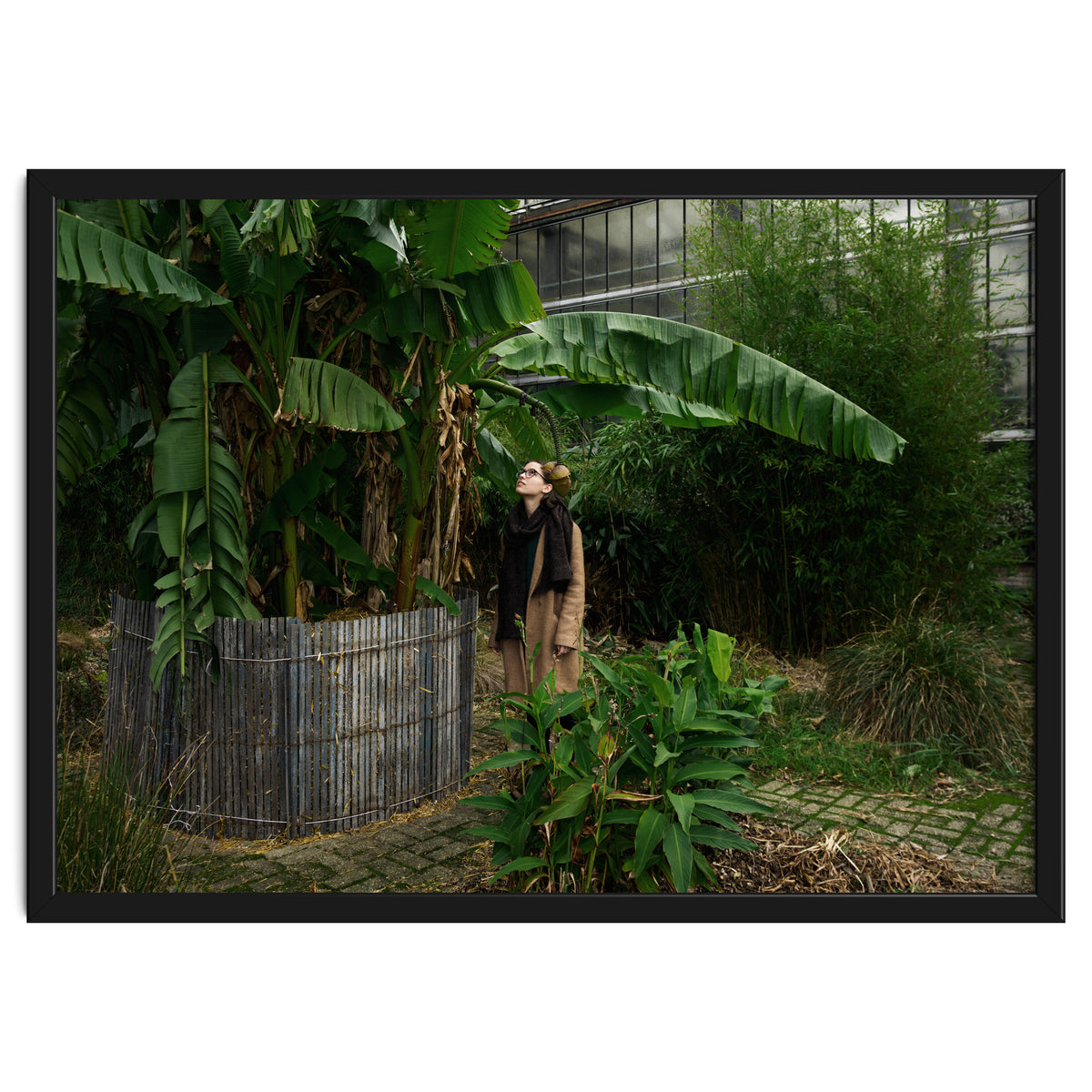 Transition from Summer to Winter