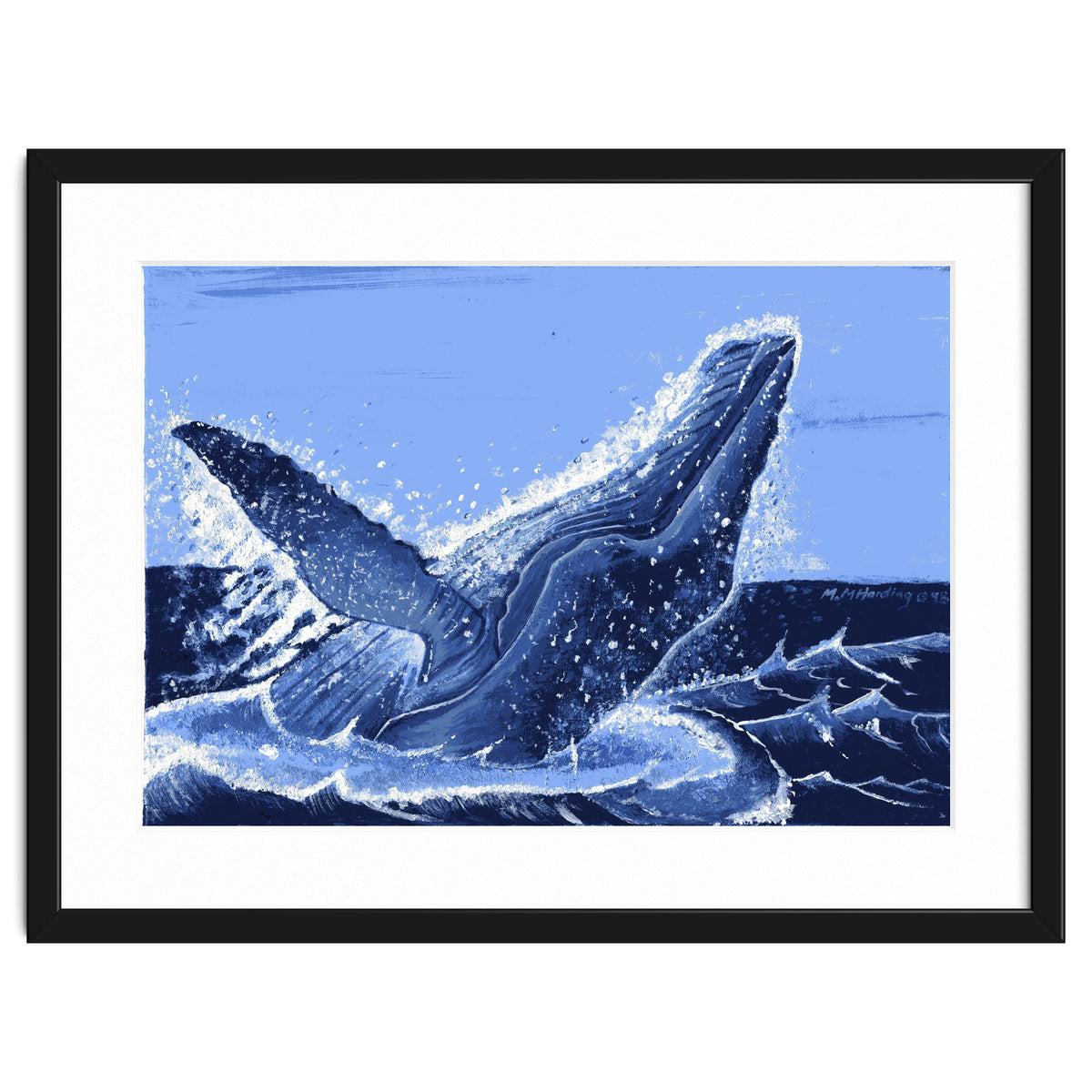 Humpback Whale Breaching