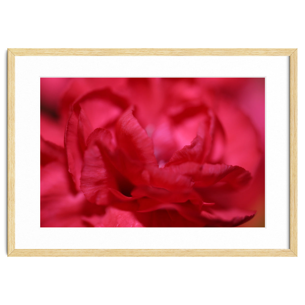 Red Peony